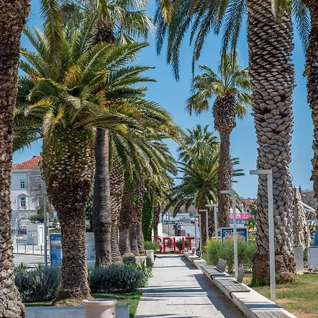 Wind Rose スプリト