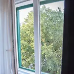 Wind Rose Guest house 3*