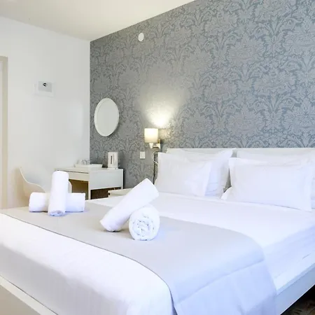 Wind Rose 스플리트